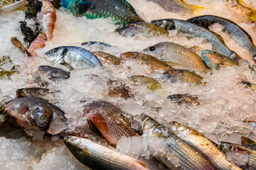 Raw fish for sale at the street market