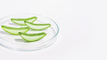 Fresh aloe leaf and sliced aloe slices in a Petri dish. On a white background