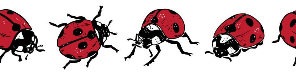 Vector seamless border of cute bright red ladybugs in doodle hand drawn style