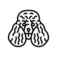 poodle dog puppy pet line icon vector. poodle dog puppy pet sign. isolated contour symbol black illustration