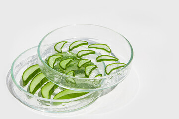 Fresh aloe leaf and sliced aloe slices in Petri dishes. On a white background