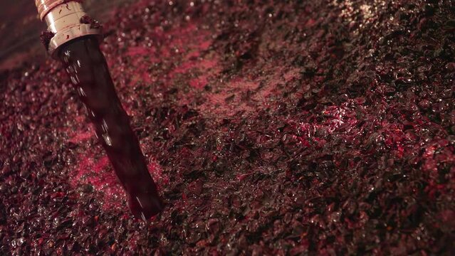 Winemaking. Wine production. Injection of grape juice in fermentation tanks.