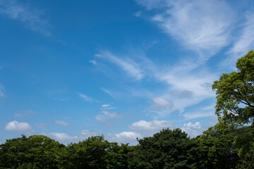 夏、梅雨明け、さわやかな晴天の青空と折り重なったふわふわの積乱雲、新緑の森林、山の木々の背景　夏休み・天気・アウトドア・旅行・バカンスのイメージ