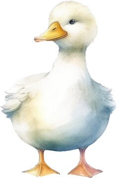 Cute Baby Duck Watercolor. Generative AI