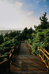 Stairs to climb Seongsan mountain in Jeju Island, South Korea.