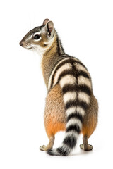 A small striped animal standing on a white surface. Generative AI.