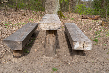 Old Wooden Tables and Benches for a BBQ Picnic