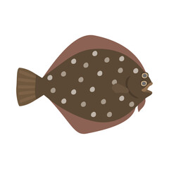 イシガレイ。フラットなベクターイラスト。
Stone flounder. Flat designed vector illustration.