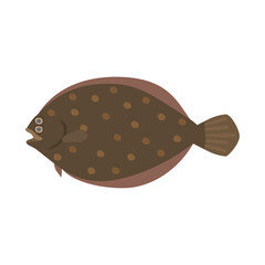 ガンゾウビラメ。フラットなベクターイラスト。
Cinnamon flounder. Flat designed vector illustration.
