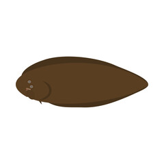 クロウシノシタ（ウシノシタ、シタビラメ）。フラットなベクターイラスト。
Black cow-tongue. Flat designed vector illustration.