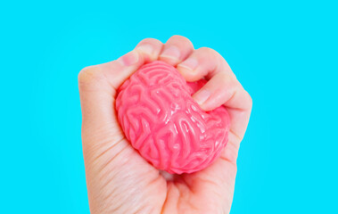 Challenging Mental Limits: Hand Pressing Jelly-Like Brain Model