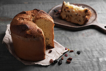 Delicious cut Panettone cake with raisins on grey wooden table, space for text. Traditional Italian pastry