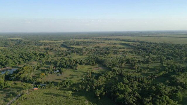 Aerial view of the jungle in Colombia