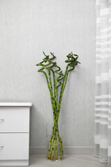 Vase with beautiful green bamboo stems on floor indoors
