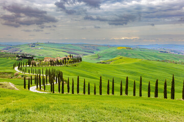 Typical landscape, house on a hill with cypress alley in spring in the Val d' Orcia in Tuscany, Italy.