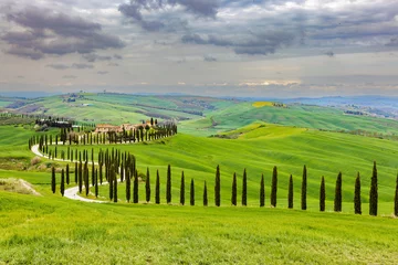 Tableaux ronds sur aluminium brossé Gris foncé Typical landscape, house on a hill with cypress alley in spring in the Val d' Orcia in Tuscany, Italy.