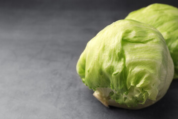 Fresh green iceberg lettuce heads on grey table, closeup. Space for text