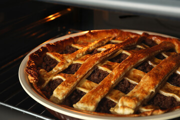 Delicious meat pie in oven, closeup view