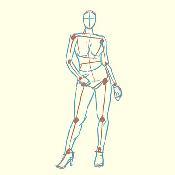 body anatomy vector for card illustration background