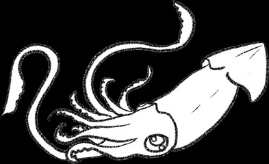 White squid painting and BBQ squid painting