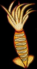 White squid painting and BBQ squid painting