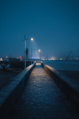 Obraz premium Misty street of Fécamp at night. Mysterious dark street with lights.