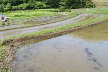 Early summer in a farming village, terraced paddy fields and rice paddies with beautiful blue sky and sunshine