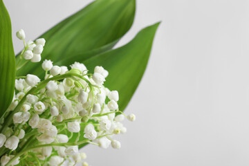 Beautiful lily of the valley flowers with leaves on light grey background, closeup. Space for text