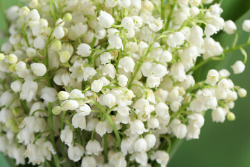 Beautiful lily of the valley flowers on blurred green background, closeup
