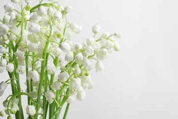 Beautiful lily of the valley flowers on light grey background, closeup. Space for text