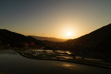 Naklejka na ściany i meble A farming village at dusk, beautiful scenery of rice paddies just before the sun sets 