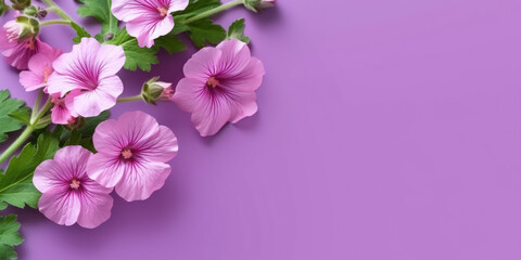 Mallow nature pink flower on bowl, copy space background, Generative AI