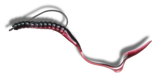 Shadow behind a black and purple weedless fishing worm