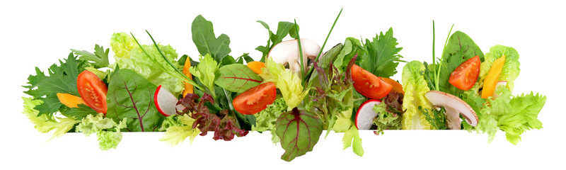 Mixed Salad with Vegetables - Lettuce Panorama on Transparent PNG Background