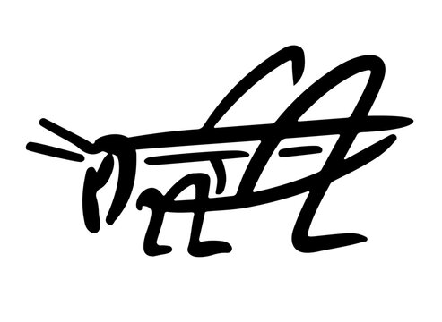 House cricket logo. Edible insect isolated on white background. Grasshopper line illustration. Acheta domesticus emblem.
