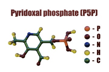 Pyridoxal phosphate (P5P), the active form of vitamin b6, a coenzyme in a variety of enzymatic reactions. Structural chemical formula and molecular model. 3d illustration