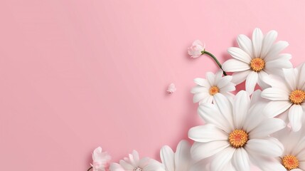 Beauty flower banner with blooming white daisies on pink gradient background. Oriental floral background for presentation, promotional sales or cosmetics advertising. Copy space, generative AI