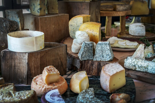 Large choice of French ripened cheese on a wooden rustic board - Powered by Adobe