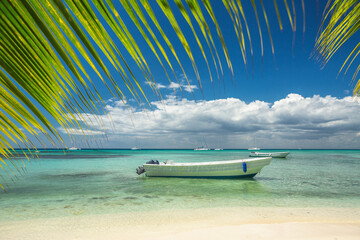 Caribbean sea and sail boat on the beach shore, beautiful panoramic tropical view