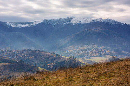 countryside landscape with rural fields on the hills. snow capped peaks of carpathian mountains in the distance. gloomy scenery of borzhava ridge with overcast sky in late autumn