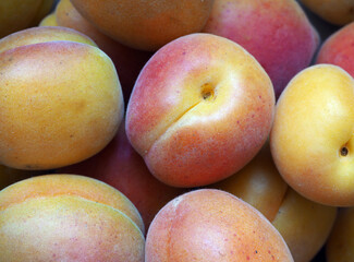 Sun-exposed reddish apricots. Sweet summer fruits. 