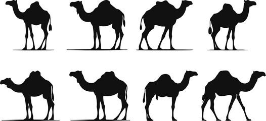set of camel silhouettes
