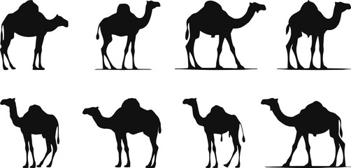 set of camels silhouettes
