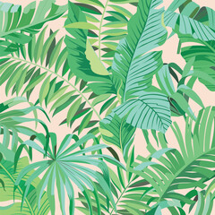 Fototapeta na wymiar Tropical leaves and plants on light green background, flat line vector and illustration. 