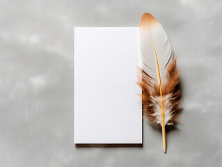feather and blank paper