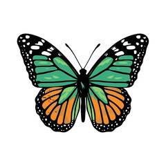  Beautiful colorful cartoon exotic vector isolated on white pastel green butterfly with colorful wings and antennae sticker