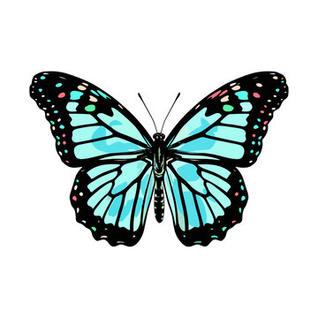 Beautiful colorful cartoon exotic vector isolated on white pastel light blue butterfly with colorful wings and antennae sticker flat design
