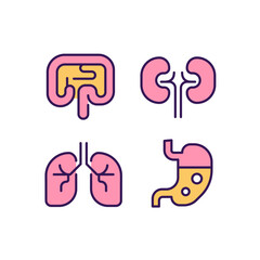 Human organs pixel perfect RGB color icons set. Gastrointestinal system. Anatomy. Organs transplantation. Isolated vector illustrations. Simple filled line drawings collection. Editable stroke