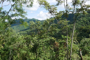 Landschaft mit Bergen und Regenwald auf Bali