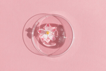 Hyaluronic acid facial serum or gel with a flower in a petri dish on a pink background. The concept...